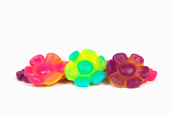 Flores de Primavera