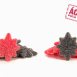 estrellas-de-regaliz