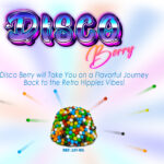 DiscoBerry(2)